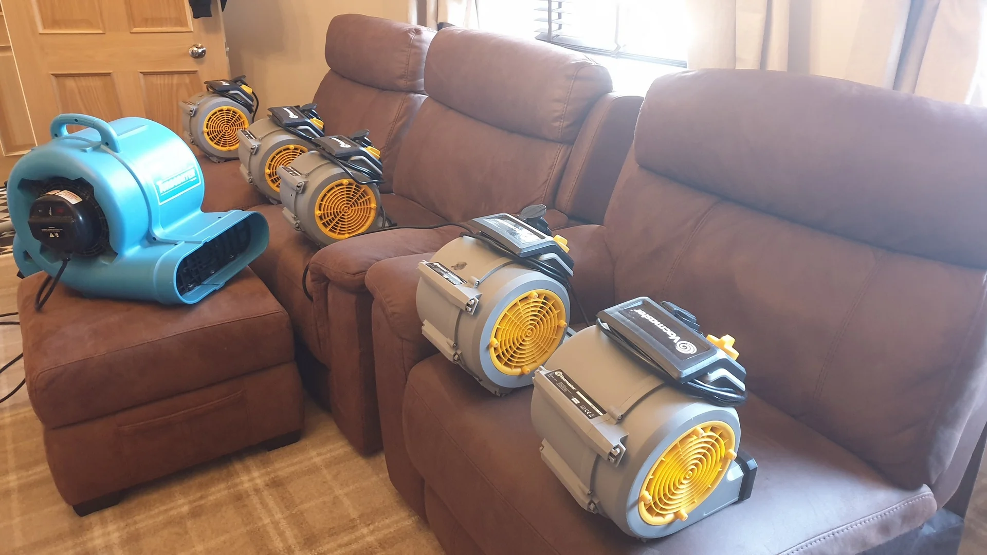 Professional carpet cleaning equipment at work on carpet fibres