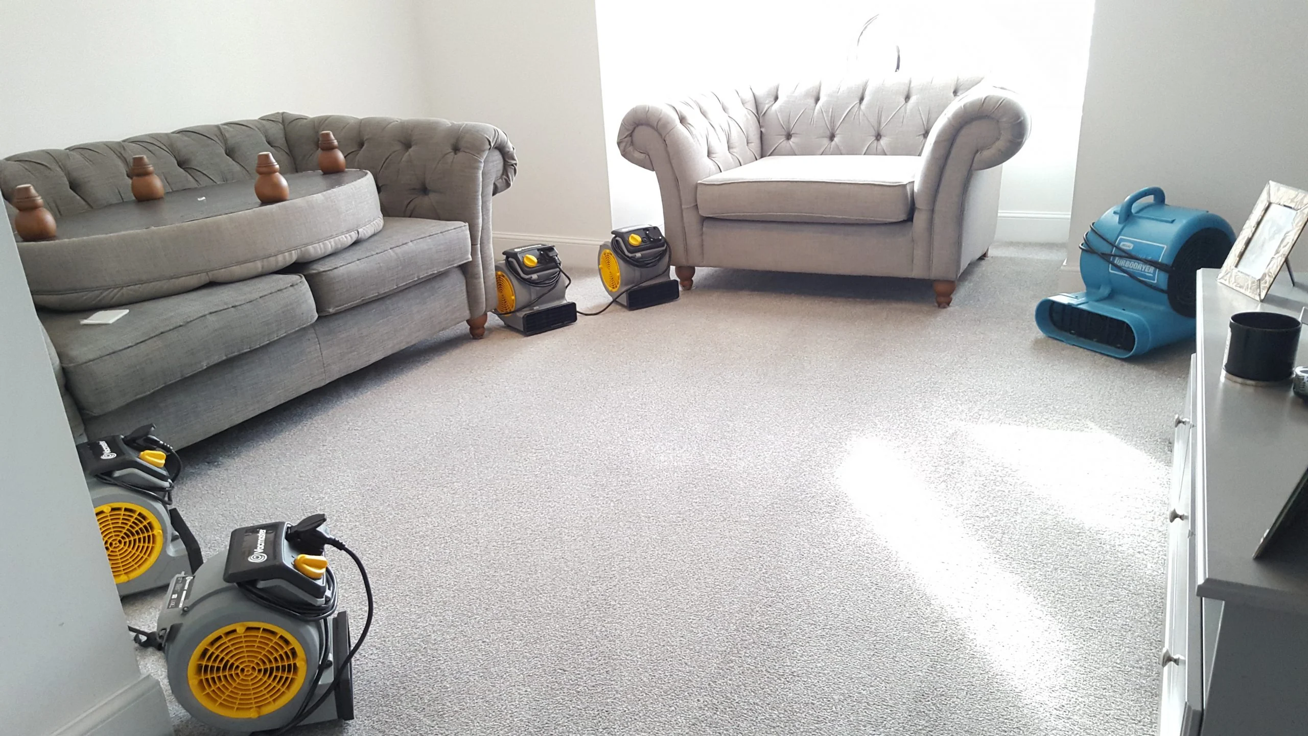 Professional carpet drying equipment in a living room